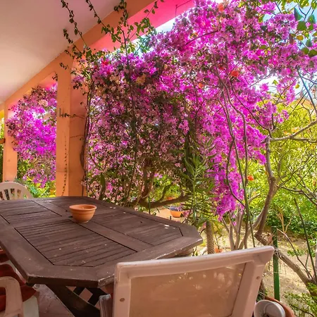 Climatisé Au Lavandou * Le Lavandou