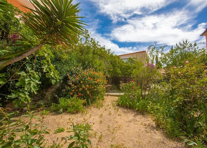 Climatise Au Lavandou Le Lavandou